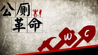 强化科技支撑与科技中介服务 推动湖南厕所革命高效化发展的关键路径