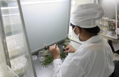 耿庄"蝶变" :从"四辣"之乡到新型乡镇